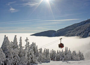 Stowe resort report