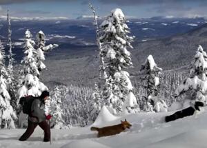 The Latest No Lift Ski Resort for Backcountry Skiers