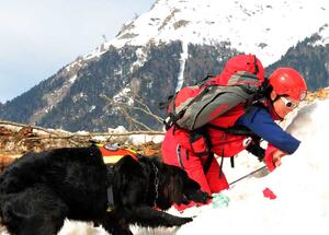 One Woman and Her Avy Dog. Ski Patroller Caroline Elliott