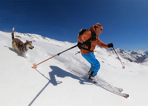 When Ski Touring With Our Dog Went Disastrously Wrong