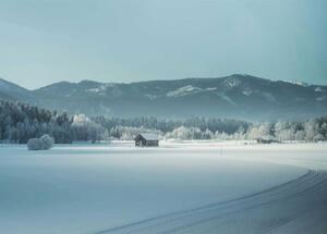 Into The Wild: Backcountry Skiers' Guide For Survival Way Off Grid