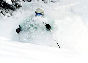 Ski Bums' Guide to a Proper Job in the Mountains