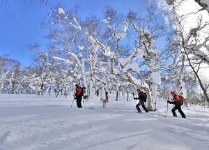 Skin. Ski. Onsen. Beer. Eat. Repeat. Ski Touring in Japan